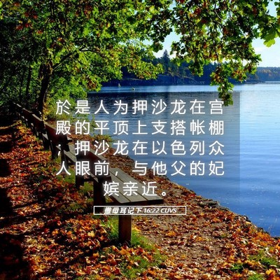 Picture 05 - 撒 母 耳 记 下 16:22 CUVS - 於 是 人 为 押 沙 龙 在 宫 殿 的 平 - Bible Verse Picture