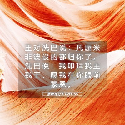 Picture 05 - 撒 母 耳 记 下 16:4 CUVS - 王 对 洗 巴 说 ： 凡 属 米 非 波 设 - Bible Verse Picture