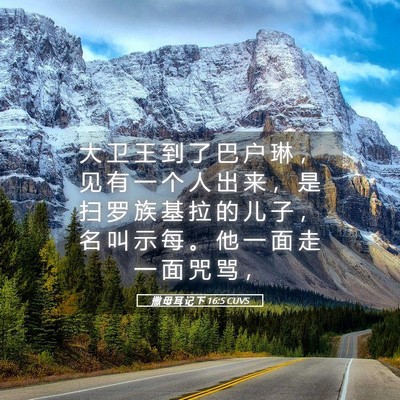 Picture 05 - 撒 母 耳 记 下 16:5 CUVS - 大 卫 王 到 了 巴 户 琳 ， 见 有 一 - Bible Verse Picture
