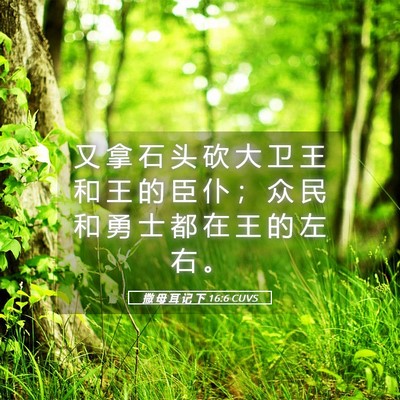 Picture 05 - 撒 母 耳 记 下 16:6 CUVS - 又 拿 石 头 砍 大 卫 王 和 王 的 臣 - Bible Verse Picture