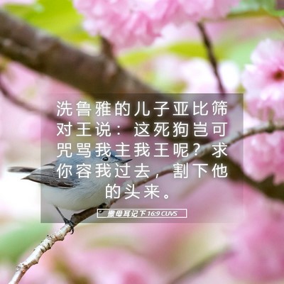Picture 05 - 撒 母 耳 记 下 16:9 CUVS - 洗 鲁 雅 的 儿 子 亚 比 筛 对 王 说 - Bible Verse Picture