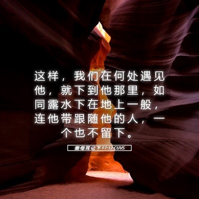 Picture 05 - 撒 母 耳 记 下 17:12 CUVS - 这 样 ， 我 们 在 何 处 遇 见 他 ， - Bible Verse Picture