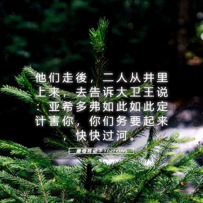 Picture 05 - 撒 母 耳 记 下 17:21 CUVS - 他 们 走 後 ， 二 人 从 井 里 上 来 - Bible Verse Picture