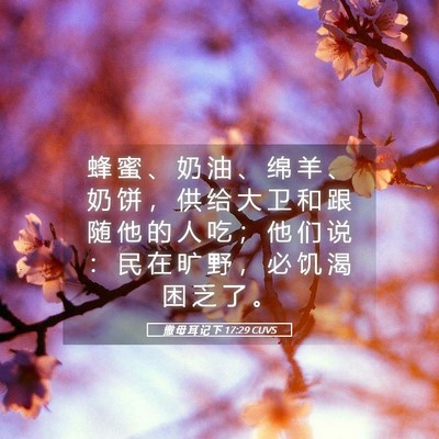 Picture 05 - 撒 母 耳 记 下 17:29 CUVS - 蜂 蜜 、 奶 油 、 绵 羊 、 奶 饼 ， - Bible Verse Picture