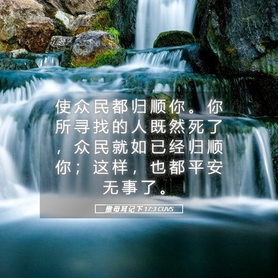 Picture 05 - 撒 母 耳 记 下 17:3 CUVS - 使 众 民 都 归 顺 你 。 你 所 寻 找 - Bible Verse Picture