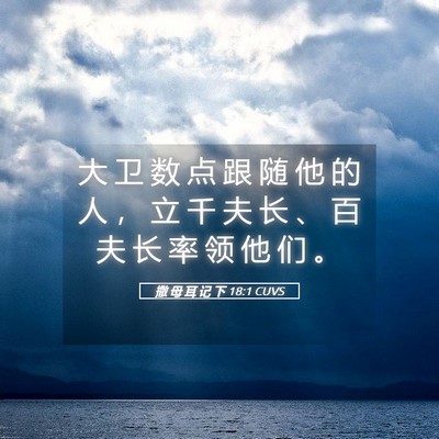 Picture 05 - 撒 母 耳 记 下 18:1 CUVS - 大 卫 数 点 跟 随 他 的 人 ， 立 千 - Bible Verse Picture
