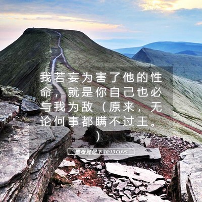 Picture 05 - 撒 母 耳 记 下 18:13 CUVS - 我 若 妄 为 害 了 他 的 性 命 ， 就 - Bible Verse Picture