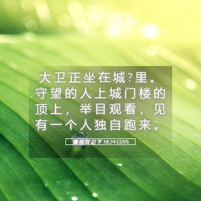Picture 05 - 撒 母 耳 记 下 18:24 CUVS - 大 卫 正 坐 在 城 ? 里 。 守 望 的 人 - Bible Verse Picture