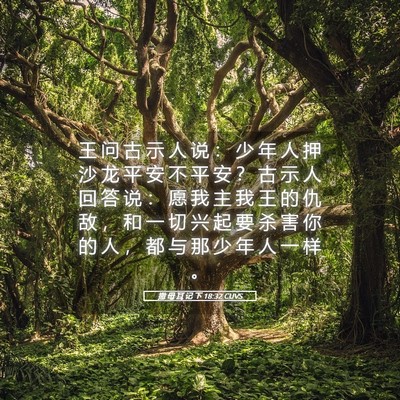 Picture 05 - 撒 母 耳 记 下 18:32 CUVS - 王 问 古 示 人 说 ： 少 年 人 押 沙 - Bible Verse Picture