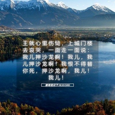 Picture 05 - 撒 母 耳 记 下 18:33 CUVS - 王 就 心 里 伤 恸 ， 上 城 门 楼 去 - Bible Verse Picture
