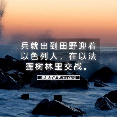 Picture 05 - 撒 母 耳 记 下 18:6 CUVS - 兵 就 出 到 田 野 迎 着 以 色 列 人 - Bible Verse Picture