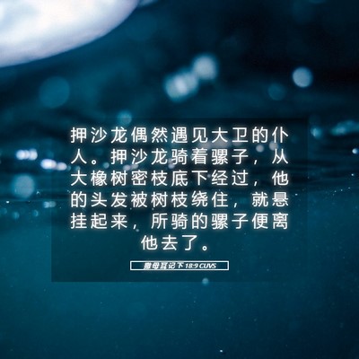 Picture 05 - 撒 母 耳 记 下 18:9 CUVS - 押 沙 龙 偶 然 遇 见 大 卫 的 仆 人 - Bible Verse Picture