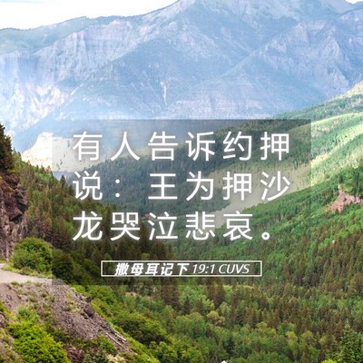 Picture 05 - 撒 母 耳 记 下 19:1 CUVS - 有 人 告 诉 约 押 说 ： 王 为 押 沙 - Bible Verse Picture