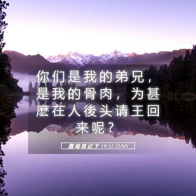 Picture 05 - 撒 母 耳 记 下 19:12 CUVS - 你 们 是 我 的 弟 兄 ， 是 我 的 骨 - Bible Verse Picture