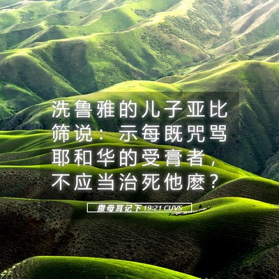 Picture 05 - 撒 母 耳 记 下 19:21 CUVS - 洗 鲁 雅 的 儿 子 亚 比 筛 说 ： 示 - Bible Verse Picture