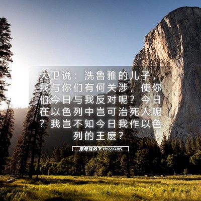 Picture 05 - 撒 母 耳 记 下 19:22 CUVS - 大 卫 说 ： 洗 鲁 雅 的 儿 子 ， 我 - Bible Verse Picture
