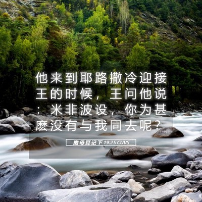 Picture 05 - 撒 母 耳 记 下 19:25 CUVS - 他 来 到 耶 路 撒 冷 迎 接 王 的 时 - Bible Verse Picture