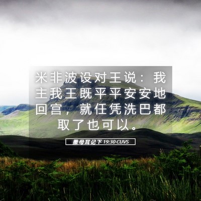 Picture 05 - 撒 母 耳 记 下 19:30 CUVS - 米 非 波 设 对 王 说 ： 我 主 我 王 - Bible Verse Picture