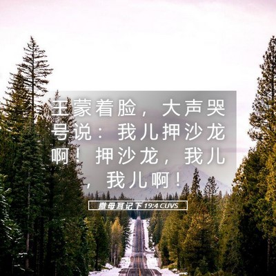 Picture 05 - 撒 母 耳 记 下 19:4 CUVS - 王 蒙 着 脸 ， 大 声 哭 号 说 ： 我 - Bible Verse Picture