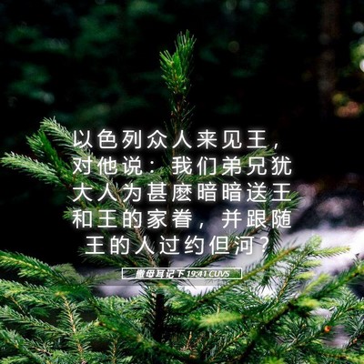 Picture 05 - 撒 母 耳 记 下 19:41 CUVS - 以 色 列 众 人 来 见 王 ， 对 他 说 - Bible Verse Picture
