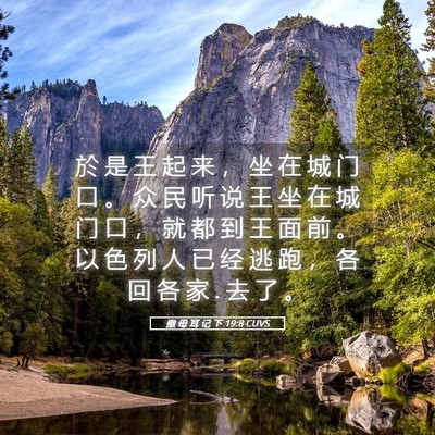 Picture 05 - 撒 母 耳 记 下 19:8 CUVS - 於 是 王 起 来 ， 坐 在 城 门 口 。 - Bible Verse Picture