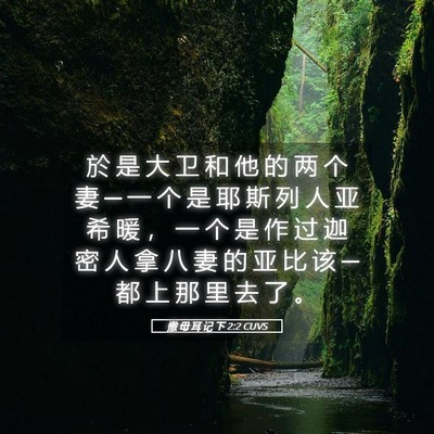 Picture 05 - 撒 母 耳 记 下 2:2 CUVS - 於 是 大 卫 和 他 的 两 个 妻 ─ 一 - Bible Verse Picture