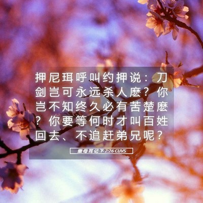 Picture 05 - 撒 母 耳 记 下 2:26 CUVS - 押 尼 珥 呼 叫 约 押 说 ： 刀 剑 岂 - Bible Verse Picture