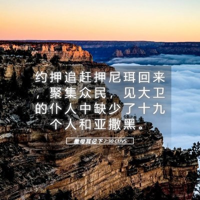 Picture 05 - 撒 母 耳 记 下 2:30 CUVS - 约 押 追 赶 押 尼 珥 回 来 ， 聚 集 - Bible Verse Picture