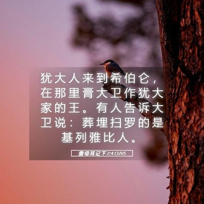 Picture 05 - 撒 母 耳 记 下 2:4 CUVS - 犹 大 人 来 到 希 伯 仑 ， 在 那 里 - Bible Verse Picture