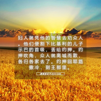 Picture 05 - 撒 母 耳 记 下 20:22 CUVS - 妇 人 就 凭 他 的 智 慧 去 劝 众 人 - Bible Verse Picture
