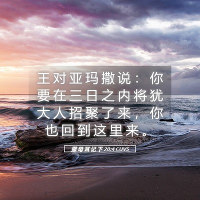 Picture 05 - 撒 母 耳 记 下 20:4 CUVS - 王 对 亚 玛 撒 说 ： 你 要 在 三 日 - Bible Verse Picture