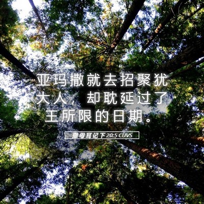 Picture 05 - 撒 母 耳 记 下 20:5 CUVS - 亚 玛 撒 就 去 招 聚 犹 大 人 ， 却 - Bible Verse Picture