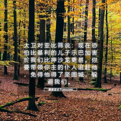 Picture 05 - 撒 母 耳 记 下 20:6 CUVS - 大 卫 对 亚 比 筛 说 ： 现 在 恐 怕 - Bible Verse Picture