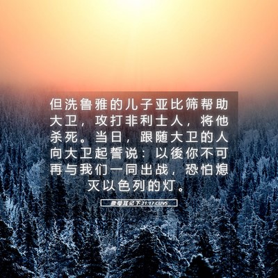 Picture 05 - 撒 母 耳 记 下 21:17 CUVS - 但 洗 鲁 雅 的 儿 子 亚 比 筛 帮 助 - Bible Verse Picture