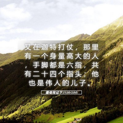 Picture 05 - 撒 母 耳 记 下 21:20 CUVS - 又 在 迦 特 打 仗 ， 那 里 有 一 个 - Bible Verse Picture
