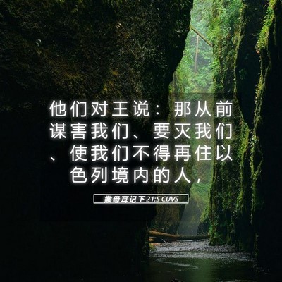 Picture 05 - 撒 母 耳 记 下 21:5 CUVS - 他 们 对 王 说 ： 那 从 前 谋 害 我 - Bible Verse Picture