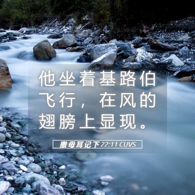 Picture 05 - 撒 母 耳 记 下 22:11 CUVS - 他 坐 着 基 路 伯 飞 行 ， 在 风 的 - Bible Verse Picture