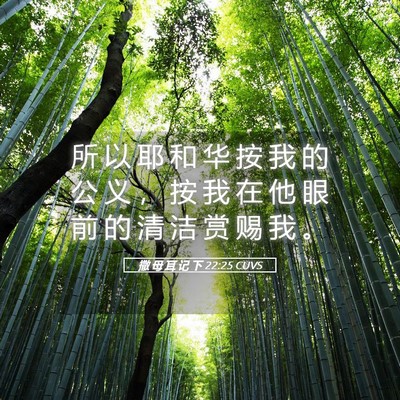 Picture 05 - 撒 母 耳 记 下 22:25 CUVS - 所 以 耶 和 华 按 我 的 公 义 ， 按 - Bible Verse Picture
