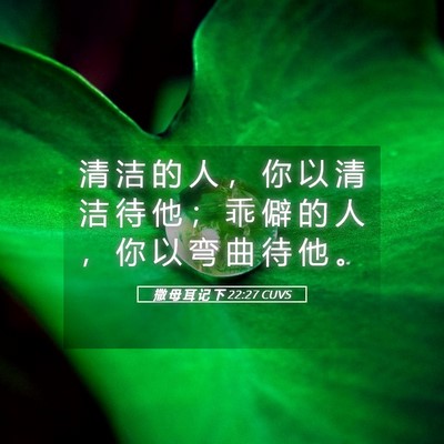 Picture 05 - 撒 母 耳 记 下 22:27 CUVS - 清 洁 的 人 ， 你 以 清 洁 待 他 ； - Bible Verse Picture