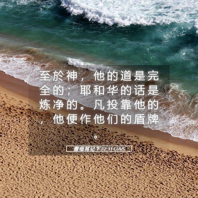 Picture 05 - 撒 母 耳 记 下 22:31 CUVS - 至 於 神 ， 他 的 道 是 完 全 的 ； - Bible Verse Picture