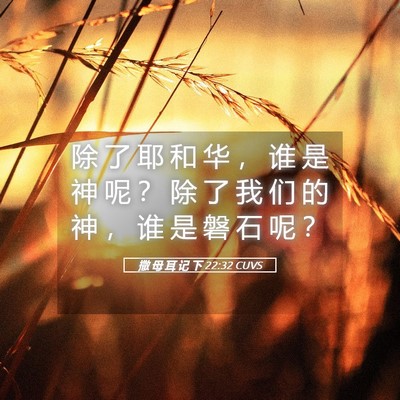 Picture 05 - 撒 母 耳 记 下 22:32 CUVS - 除 了 耶 和 华 ， 谁 是 神 呢 ？ 除 - Bible Verse Picture