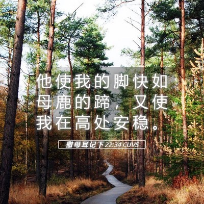 Picture 05 - 撒 母 耳 记 下 22:34 CUVS - 他 使 我 的 脚 快 如 母 鹿 的 蹄 ， - Bible Verse Picture