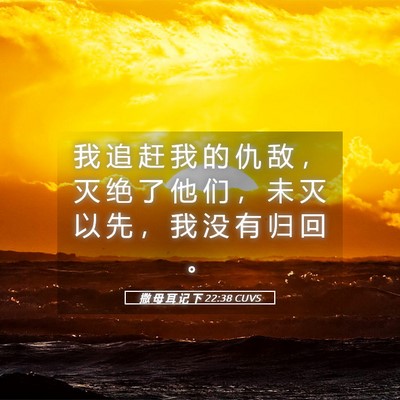 Picture 05 - 撒 母 耳 记 下 22:38 CUVS - 我 追 赶 我 的 仇 敌 ， 灭 绝 了 他 - Bible Verse Picture