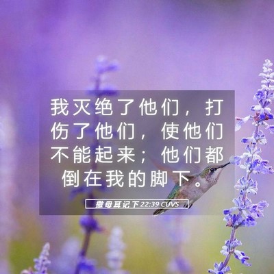 Picture 05 - 撒 母 耳 记 下 22:39 CUVS - 我 灭 绝 了 他 们 ， 打 伤 了 他 们 - Bible Verse Picture