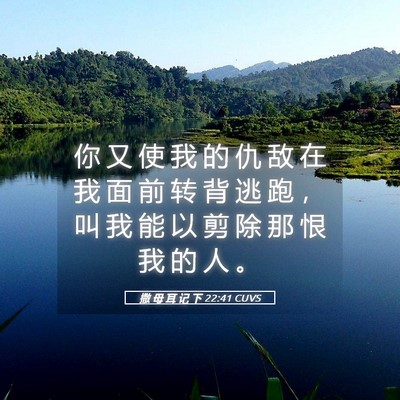 Picture 05 - 撒 母 耳 记 下 22:41 CUVS - 你 又 使 我 的 仇 敌 在 我 面 前 转 - Bible Verse Picture