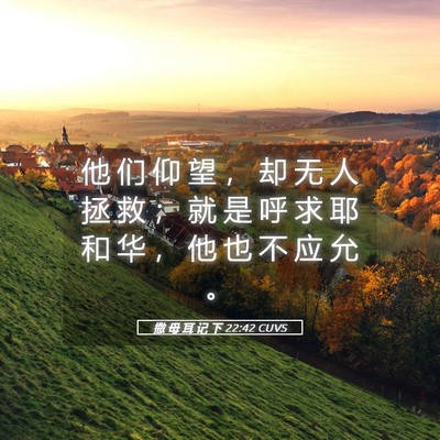 Picture 05 - 撒 母 耳 记 下 22:42 CUVS - 他 们 仰 望 ， 却 无 人 拯 救 ； 就 - Bible Verse Picture