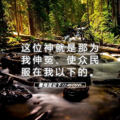 Picture 05 - 撒 母 耳 记 下 22:48 CUVS - 这 位 神 就 是 那 为 我 伸 冤 、 使 - Bible Verse Picture