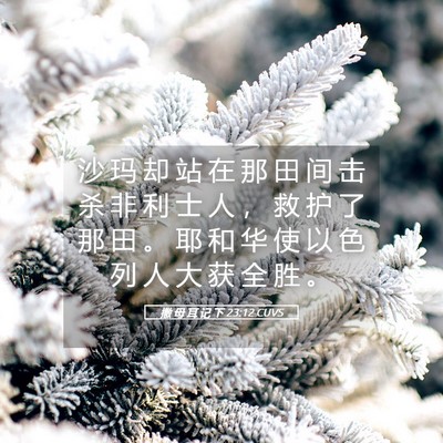 Picture 05 - 撒 母 耳 记 下 23:12 CUVS - 沙 玛 却 站 在 那 田 间 击 杀 非 利 - Bible Verse Picture
