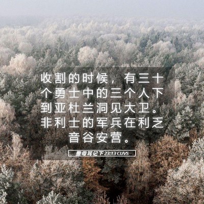 Picture 05 - 撒 母 耳 记 下 23:13 CUVS - 收 割 的 时 候 ， 有 三 十 个 勇 士 - Bible Verse Picture