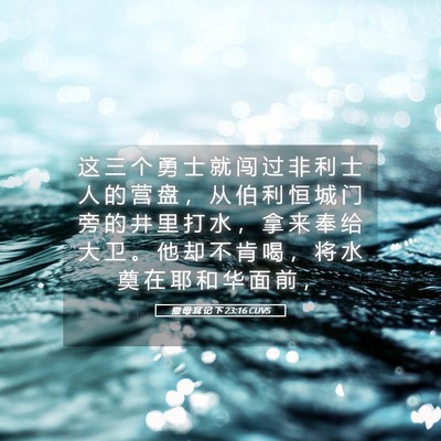 Picture 05 - 撒 母 耳 记 下 23:16 CUVS - 这 三 个 勇 士 就 闯 过 非 利 士 人 - Bible Verse Picture